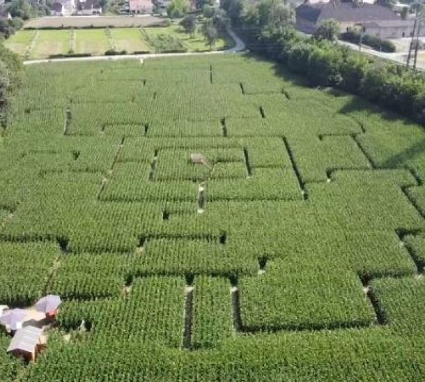 Hochhubergut Aktivität Kronstorfer Maislabyrinth