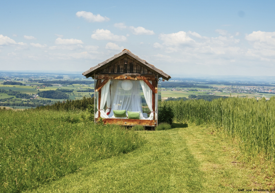 Hochhubergut Panoramabett in grüner Wiese