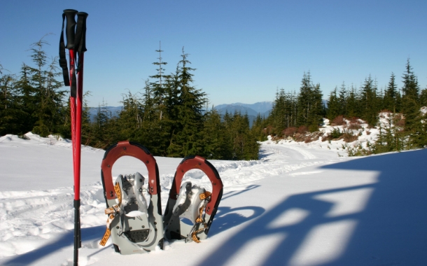 Hochhubergut - Schneeschuhwandern im Winter im Nationalpark